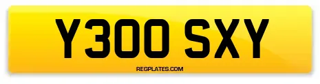 Y300 SXY