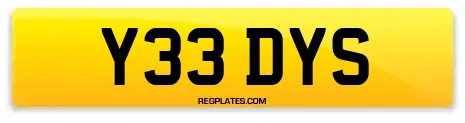 Y33 DYS