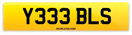 Y333 BLS