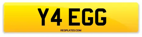 Y4 EGG
