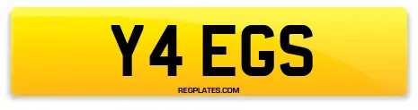 Y4 EGS