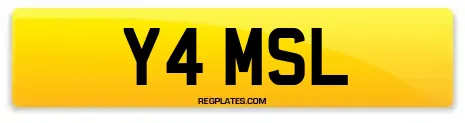 Y4 MSL
