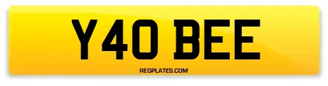 Y40 BEE