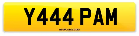 Y444 PAM