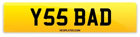 Y55 BAD