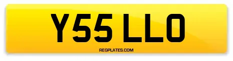 Y55 LLO