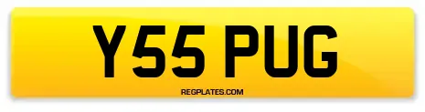 Y55 PUG