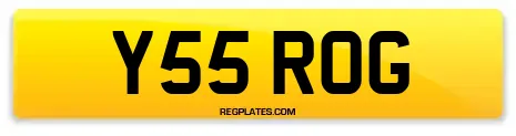 Y55 ROG