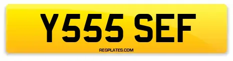 Y555 SEF