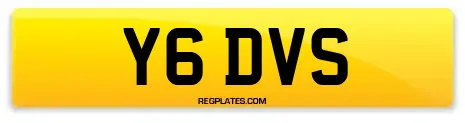 Y6 DVS