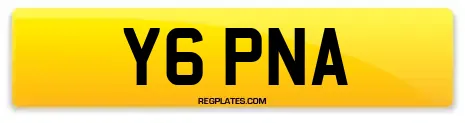 Y6 PNA