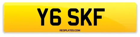 Y6 SKF