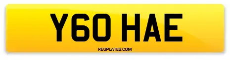 Y60 HAE