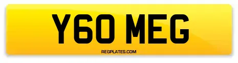 Y60 MEG