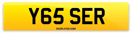 Y65 SER