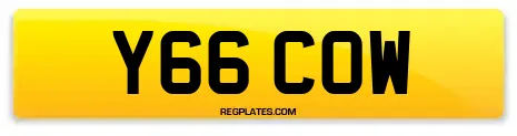 Y66 COW