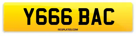 Y666 BAC