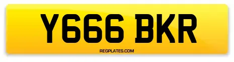 Y666 BKR