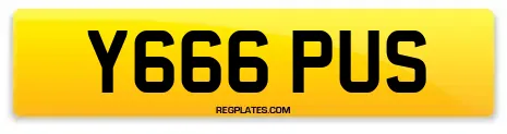 Y666 PUS
