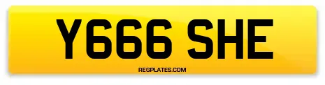 Y666 SHE