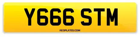 Y666 STM