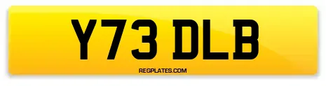 Y73 DLB