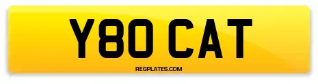 Y80 CAT