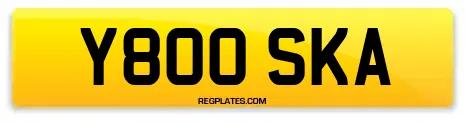 Y800 SKA