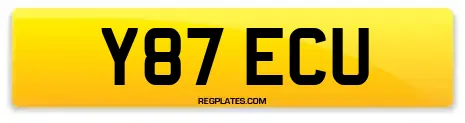 Y87 ECU