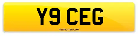Y9 CEG