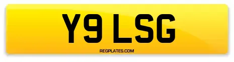 Y9 LSG