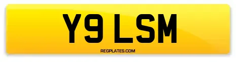 Y9 LSM
