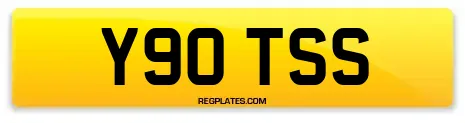 Y90 TSS