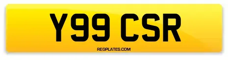 Y99 CSR