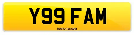 Y99 FAM