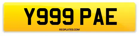 Y999 PAE