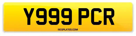 Y999 PCR