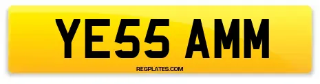 YE55 AMM