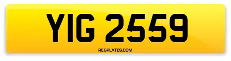 YIG 2559