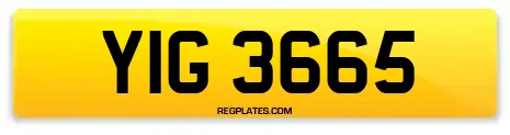 YIG 3665