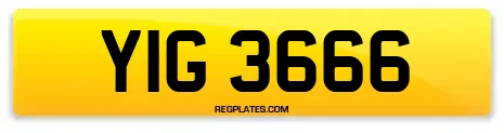 YIG 3666