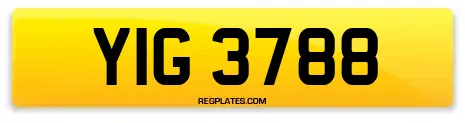 YIG 3788