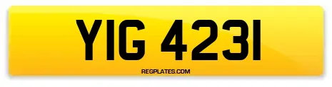 YIG 4231