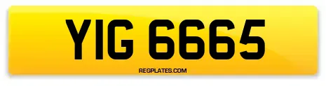 YIG 6665