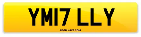 YM17 LLY