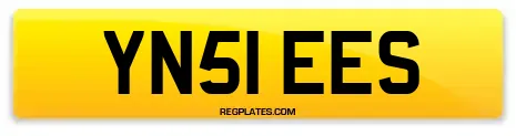 YN51 EES