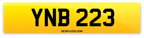 YNB 223