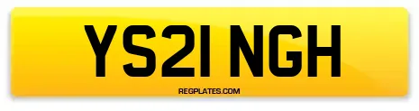 YS21 NGH