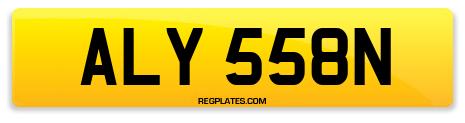 ALY 558N