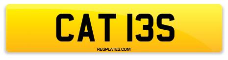 CAT 13S